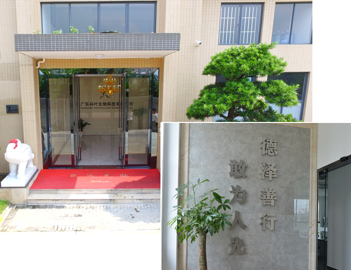 關(guān)于興葉